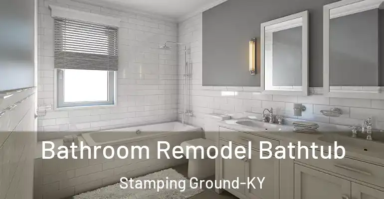 inner Bathroom imggen Bathroom Remodel Bathtub Stamping Ground-KY