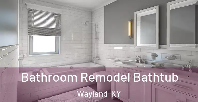 inner Bathroom imggen Bathroom Remodel Bathtub Wayland-KY