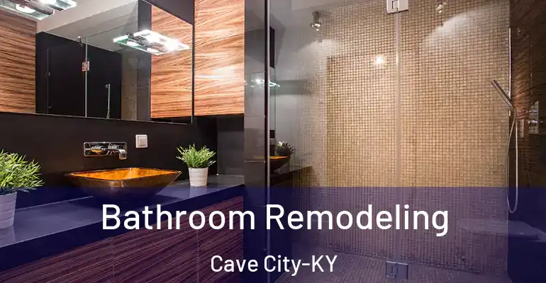 inner Bathroom imggen Bathroom Remodeling Cave City-KY