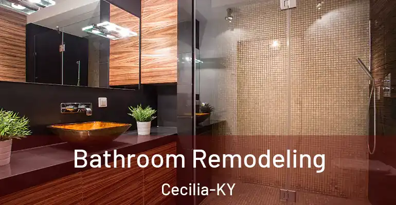 inner Bathroom imggen Bathroom Remodeling Cecilia-KY