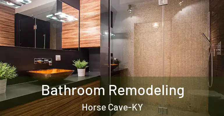 inner Bathroom imggen Bathroom Remodeling Horse Cave-KY