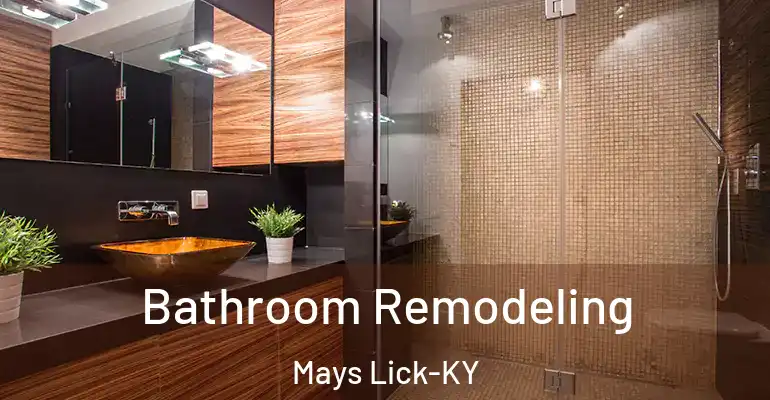 inner Bathroom imggen Bathroom Remodeling Mays Lick-KY