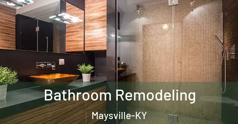 inner Bathroom imggen Bathroom Remodeling Maysville-KY