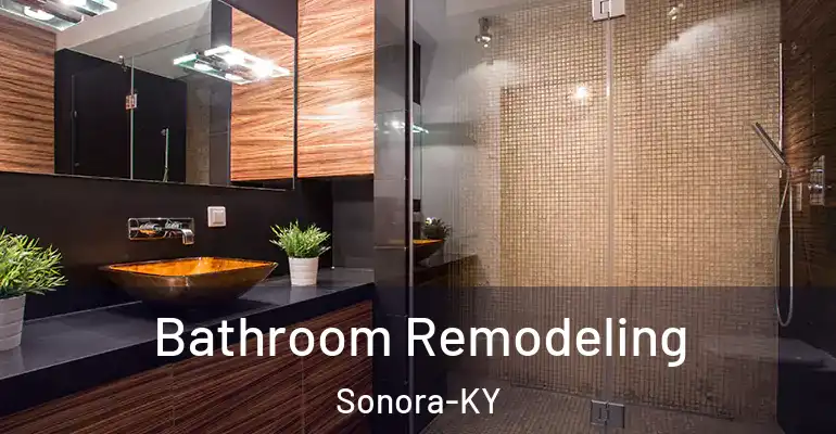 inner Bathroom imggen Bathroom Remodeling Sonora-KY
