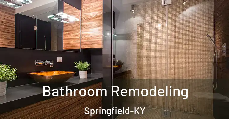 inner Bathroom imggen Bathroom Remodeling Springfield-KY