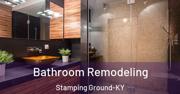 inner Bathroom imggen Bathroom Remodeling Stamping Ground-KY