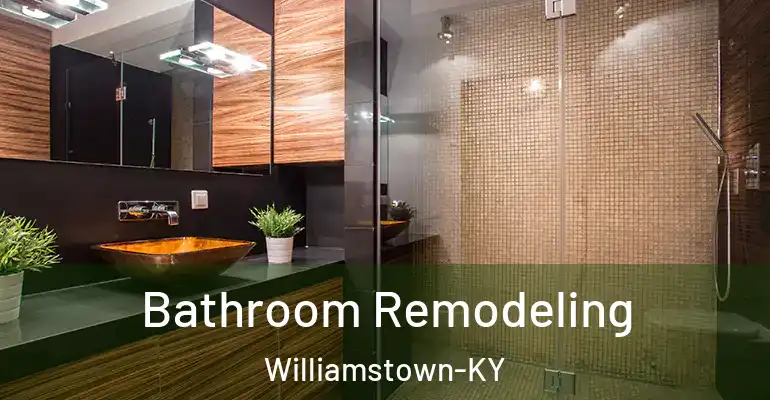 inner Bathroom imggen Bathroom Remodeling Williamstown-KY