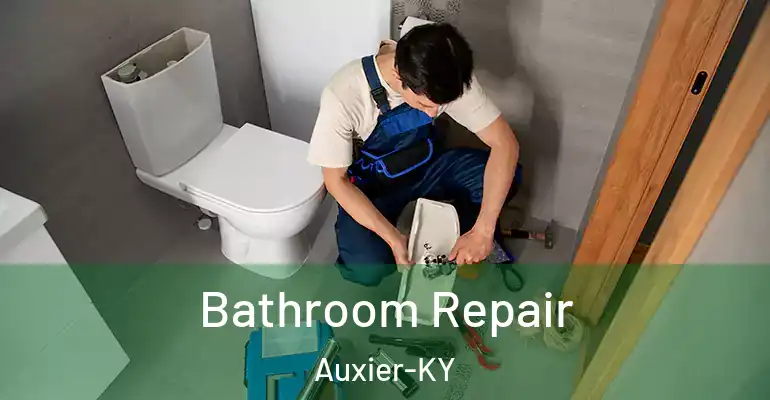 inner Bathroom imggen Bathroom Repair Auxier-KY