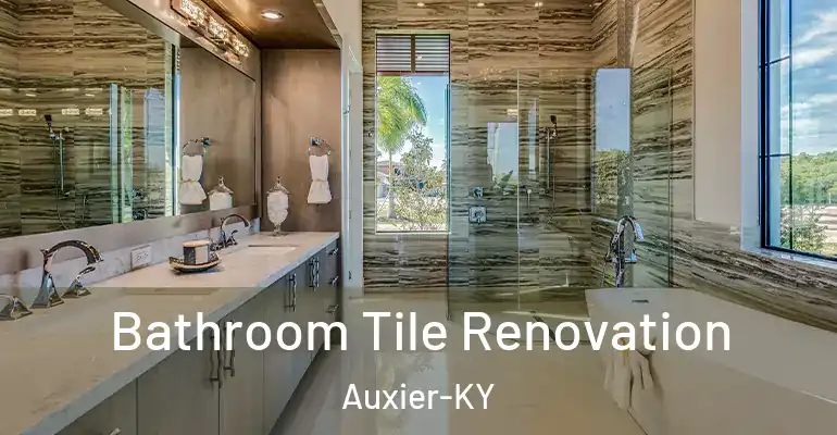 inner Bathroom imggen Bathroom Tile Renovation Auxier-KY