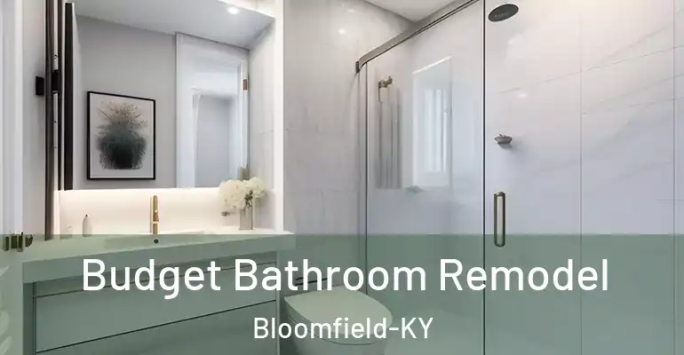 inner Bathroom imggen Budget Bathroom Remodel Bloomfield-KY