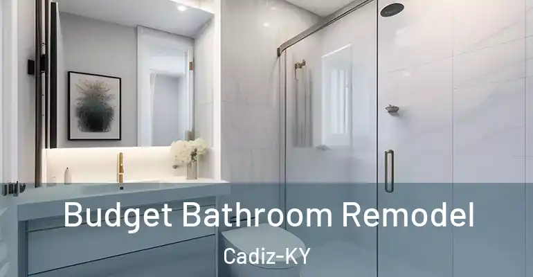 inner Bathroom imggen Budget Bathroom Remodel Cadiz-KY