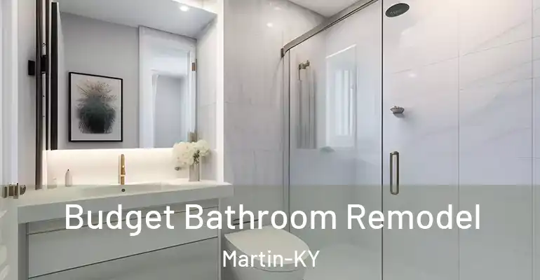 inner Bathroom imggen Budget Bathroom Remodel Martin-KY