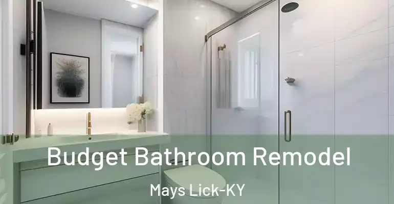 inner Bathroom imggen Budget Bathroom Remodel Mays Lick-KY
