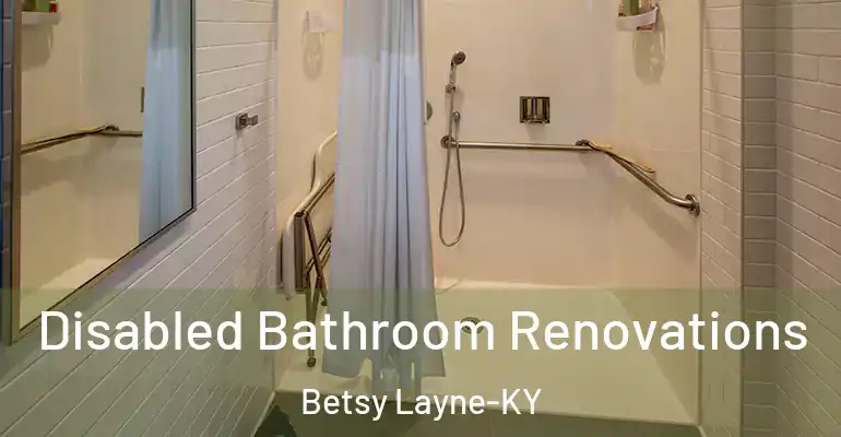 inner Bathroom imggen Disabled Bathroom Renovations Betsy Layne-KY
