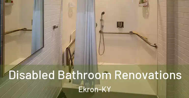 inner Bathroom imggen Disabled Bathroom Renovations Ekron-KY