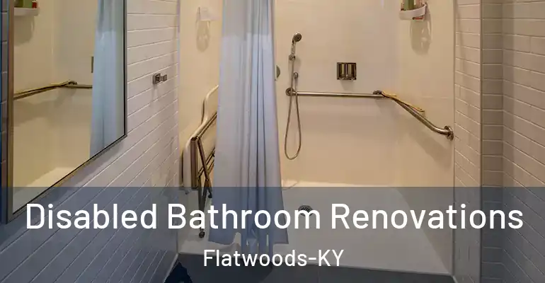 inner Bathroom imggen Disabled Bathroom Renovations Flatwoods-KY