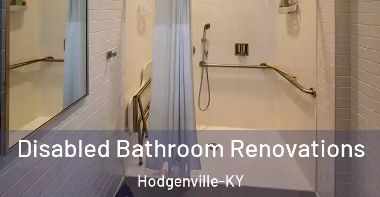 inner Bathroom imggen Disabled Bathroom Renovations Hodgenville-KY