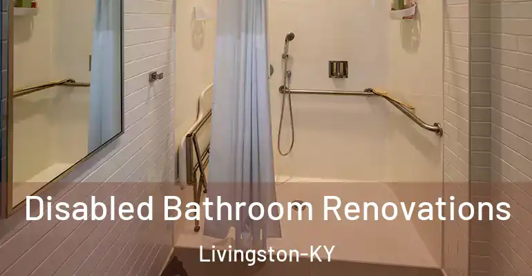 inner Bathroom imggen Disabled Bathroom Renovations Livingston-KY