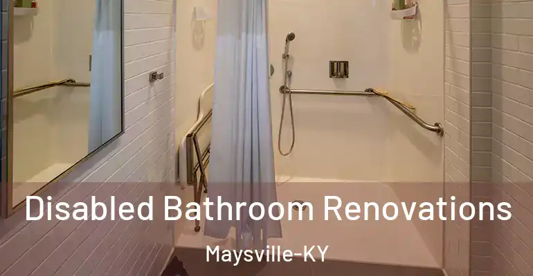 inner Bathroom imggen Disabled Bathroom Renovations Maysville-KY