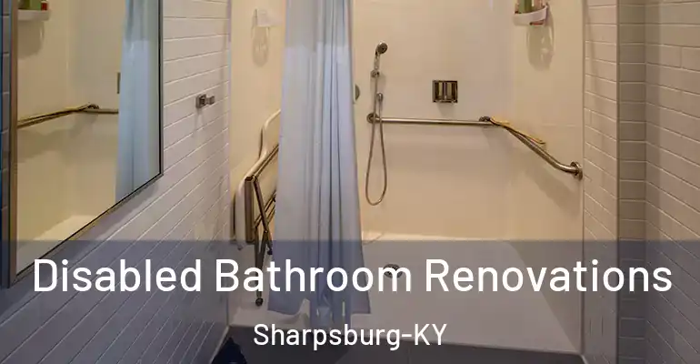 inner Bathroom imggen Disabled Bathroom Renovations Sharpsburg-KY