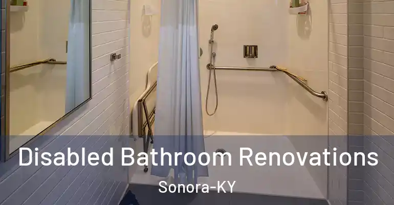 inner Bathroom imggen Disabled Bathroom Renovations Sonora-KY