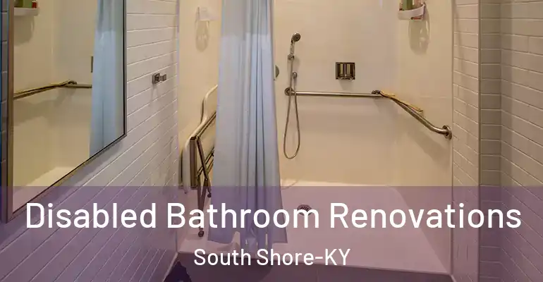 inner Bathroom imggen Disabled Bathroom Renovations South Shore-KY