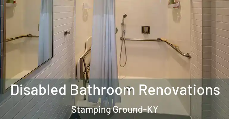 inner Bathroom imggen Disabled Bathroom Renovations Stamping Ground-KY