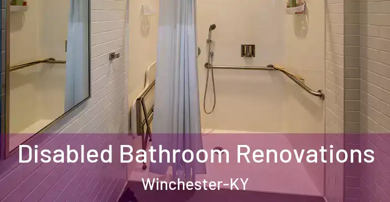 inner Bathroom imggen Disabled Bathroom Renovations Winchester-KY