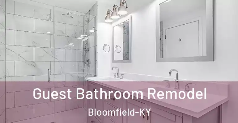 inner Bathroom imggen Guest Bathroom Remodel Bloomfield-KY
