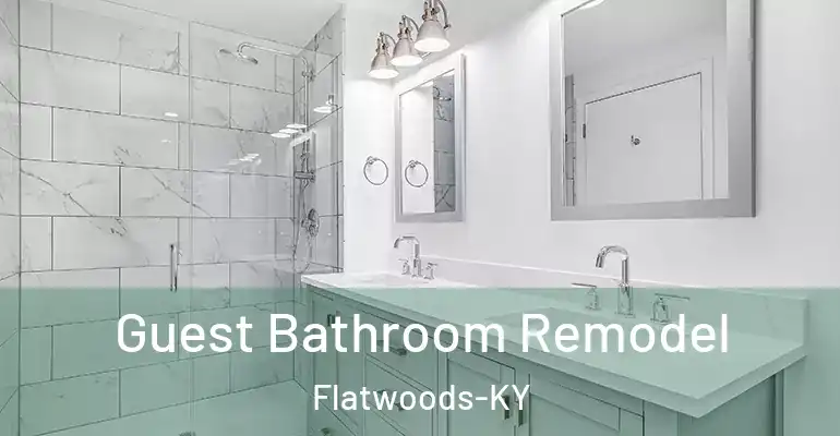 inner Bathroom imggen Guest Bathroom Remodel Flatwoods-KY