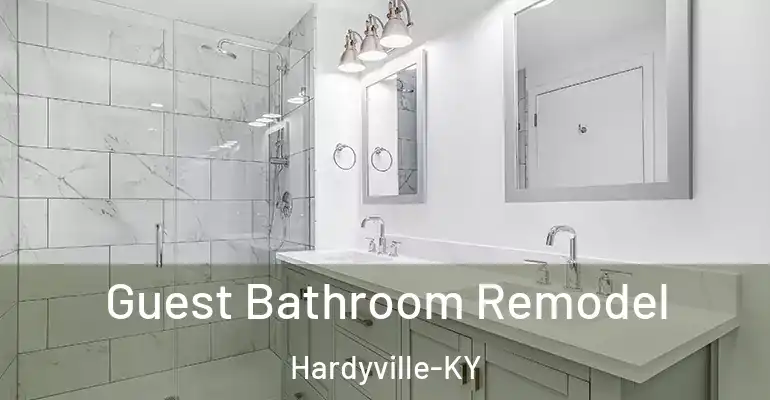 inner Bathroom imggen Guest Bathroom Remodel Hardyville-KY