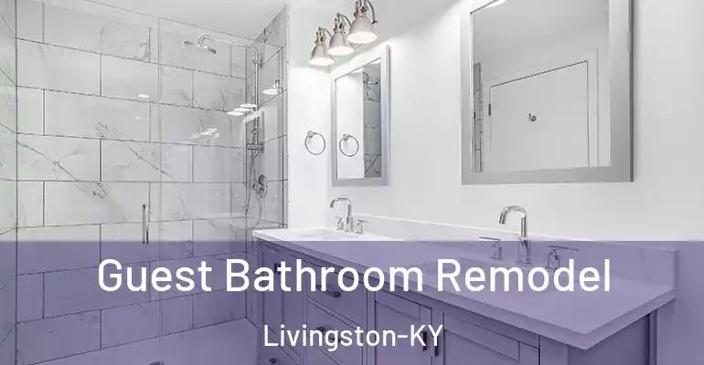 inner Bathroom imggen Guest Bathroom Remodel Livingston-KY