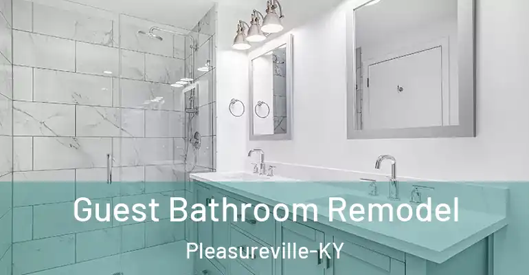 inner Bathroom imggen Guest Bathroom Remodel Pleasureville-KY