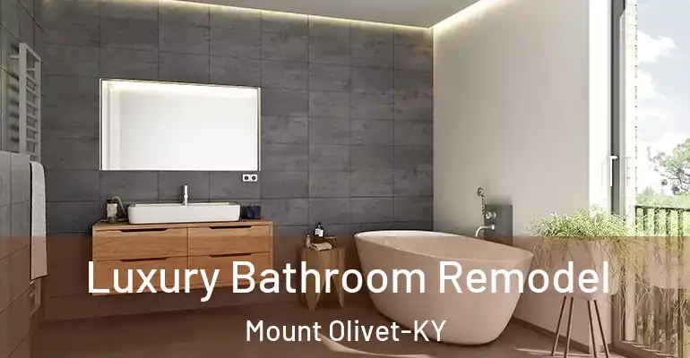 inner Bathroom imggen Luxury Bathroom Remodel Mount Olivet-KY