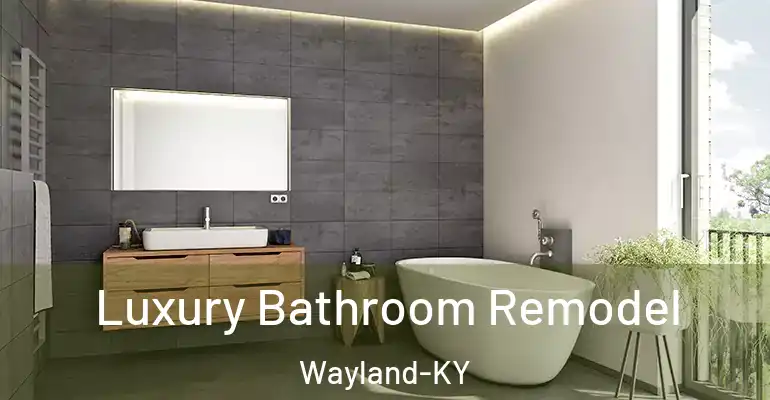 inner Bathroom imggen Luxury Bathroom Remodel Wayland-KY