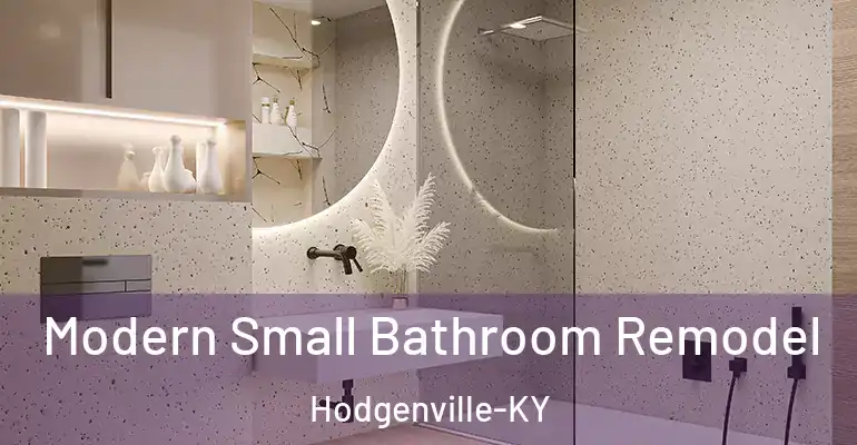 inner Bathroom imggen Modern Small Bathroom Remodel Hodgenville-KY