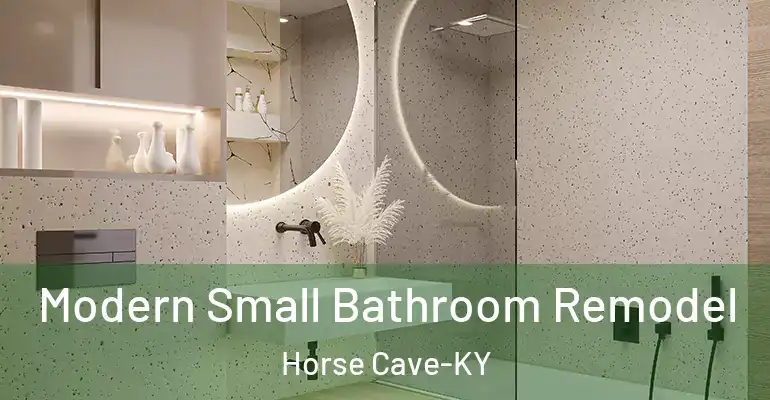inner Bathroom imggen Modern Small Bathroom Remodel Horse Cave-KY