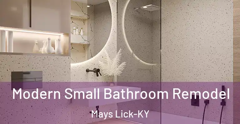 inner Bathroom imggen Modern Small Bathroom Remodel Mays Lick-KY