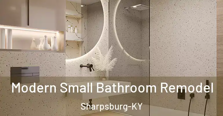inner Bathroom imggen Modern Small Bathroom Remodel Sharpsburg-KY
