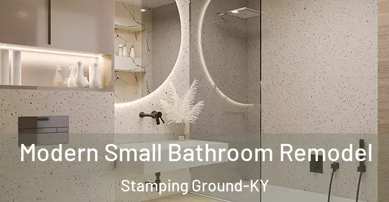 inner Bathroom imggen Modern Small Bathroom Remodel Stamping Ground-KY