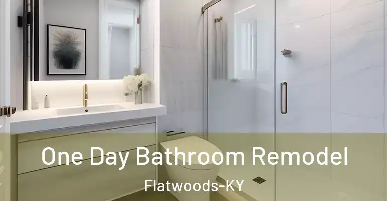 inner Bathroom imggen One Day Bathroom Remodel Flatwoods-KY