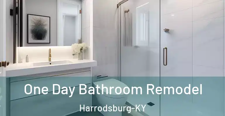 inner Bathroom imggen One Day Bathroom Remodel Harrodsburg-KY