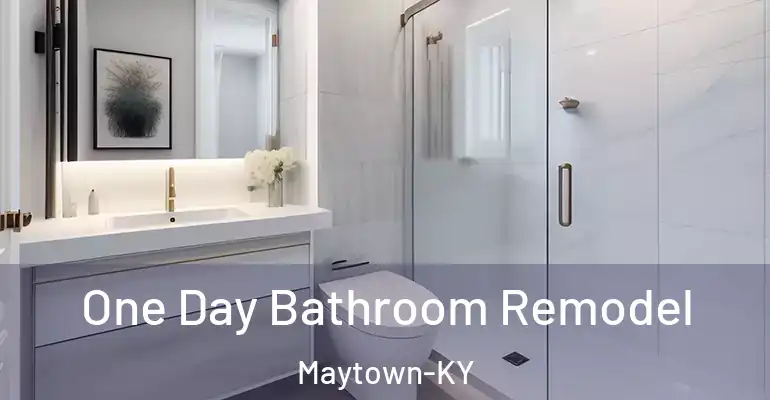 inner Bathroom imggen One Day Bathroom Remodel Maytown-KY