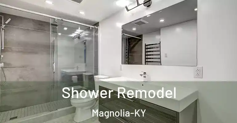 inner Bathroom imggen Shower Remodel Magnolia-KY