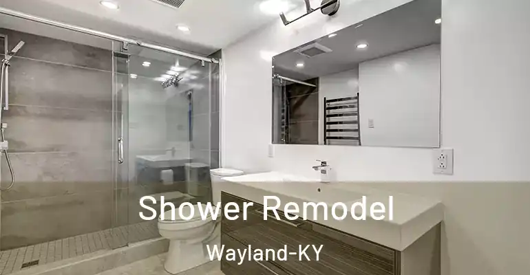inner Bathroom imggen Shower Remodel Wayland-KY