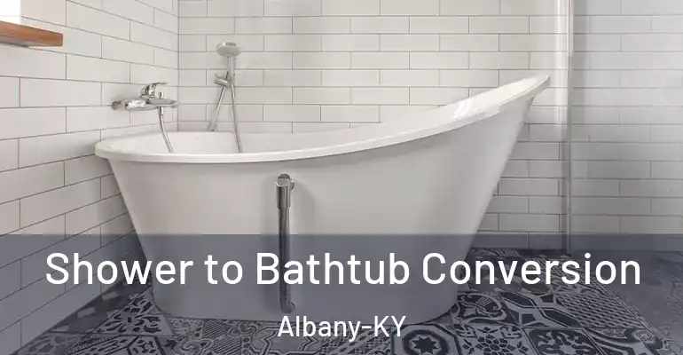 inner Bathroom imggen Shower to Bathtub Conversion Albany-KY