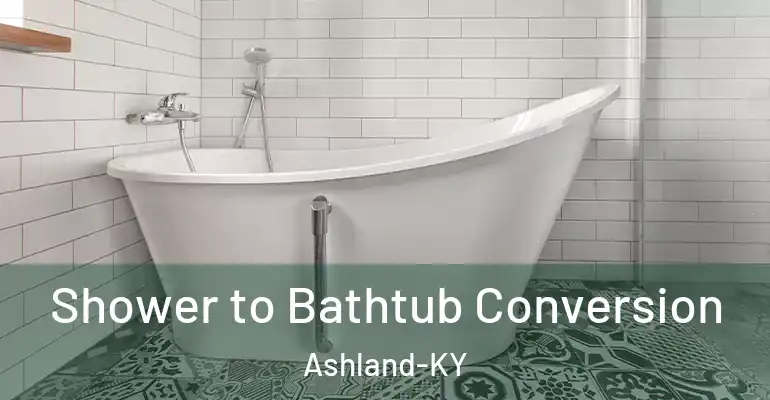 inner Bathroom imggen Shower to Bathtub Conversion Ashland-KY