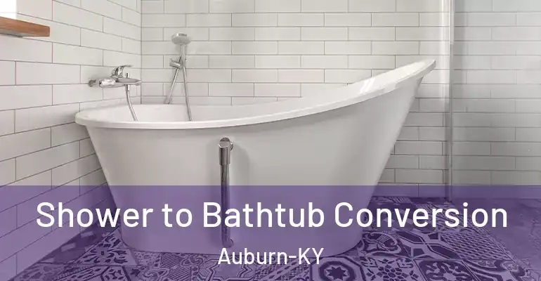 inner Bathroom imggen Shower to Bathtub Conversion Auburn-KY