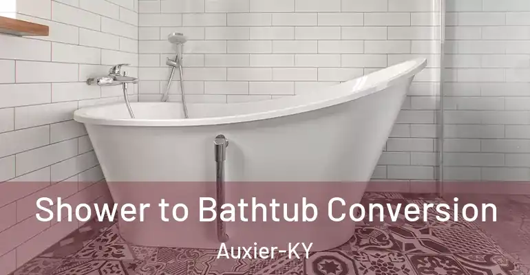 inner Bathroom imggen Shower to Bathtub Conversion Auxier-KY