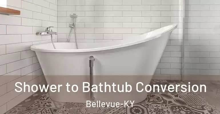 inner Bathroom imggen Shower to Bathtub Conversion Bellevue-KY